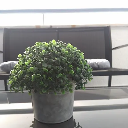 Apartamento ático Centro Avenida Libertad