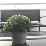 דירה Centro Excelente Situacion Atico Lujo Con Parking Gratuito