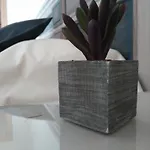 Centro Excelente Situacion Atico Lujo Con Parking Gratuito