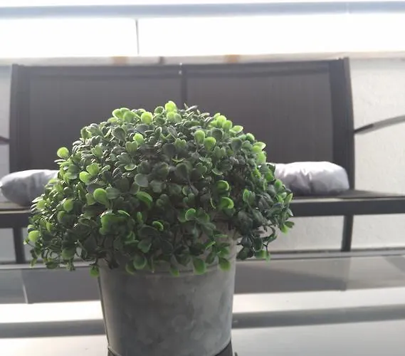 דירה Centro Excelente Situacion Atico Lujo Con Parking Gratuito